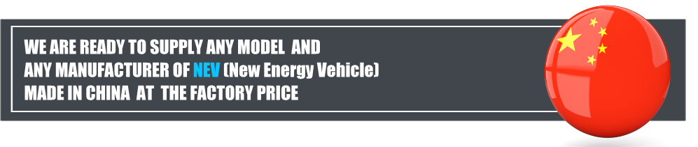  NEV (New Energy Vehicle